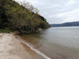 琵琶湖おかっぱりバス釣りポイント宮ケ浜水泳場