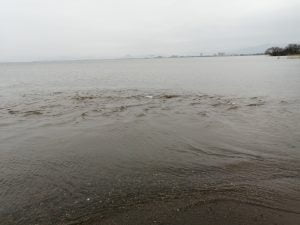 琵琶湖バス釣りポイント