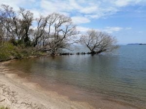 琵琶湖バス釣りポイント美崎公園