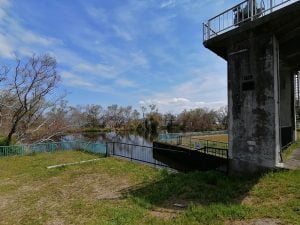 琵琶湖バス釣りポイント美崎公園