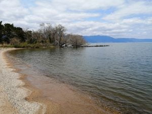 琵琶湖バス釣りポイント美崎公園