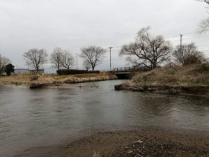 琵琶湖バス釣りポイント