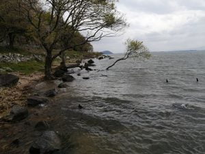 琵琶湖おかっぱりバス釣り