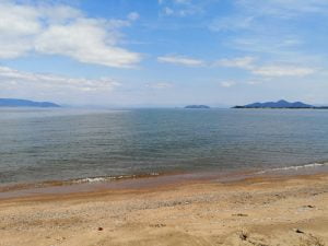 琵琶湖バス釣りポイント美崎公園