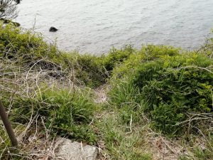 琵琶湖おかっぱりバス釣り