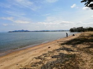 琵琶湖バス釣りポイント美崎公園