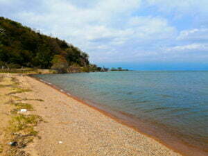 琵琶湖バス釣り湖岸緑地岡山園地
