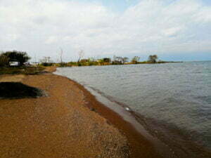 琵琶湖バス釣り湖岸緑地岡山園地