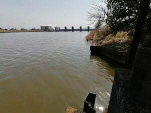 琵琶湖バス釣りポイント_なかなおこばし