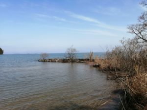 琵琶湖バス釣り_奥伊崎不動