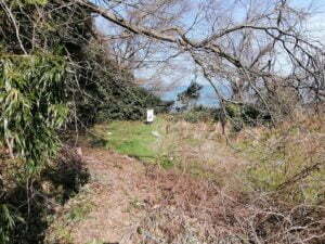 琵琶湖バス釣り_奥伊崎不動