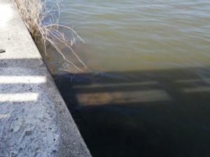 琵琶湖バス釣りポイント_なかなおこばし