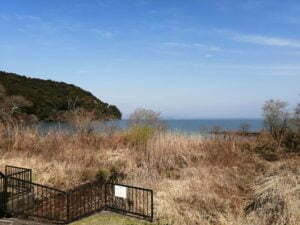 琵琶湖バス釣り_奥伊崎不動