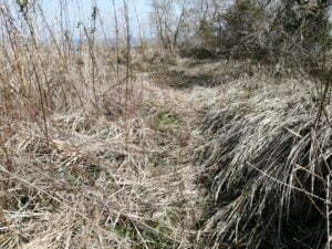 琵琶湖バス釣り_奥伊崎不動