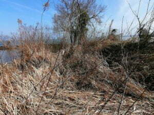 琵琶湖バス釣り_奥伊崎不動