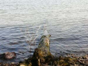 琵琶湖バス釣り_奥伊崎不動