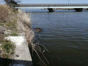 琵琶湖バス釣りポイント_なかなおこばし