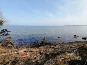 琵琶湖バス釣り_奥伊崎不動