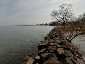 琵琶湖バス釣り_奥伊崎不動