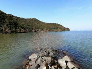 琵琶湖バス釣り_奥伊崎不動