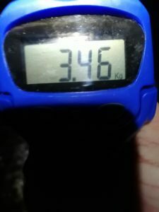 2021琵琶湖おかっぱりバス釣り