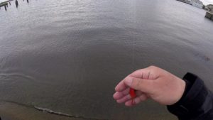 2021琵琶湖おかっぱりバス釣り