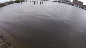 2021琵琶湖おかっぱりバス釣り