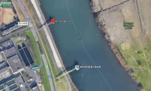 江戸川バス釣りポイント