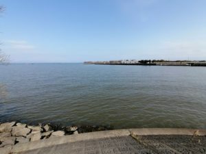 琵琶湖バス釣り_大同川