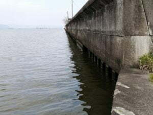 琵琶湖バス釣り_大同川