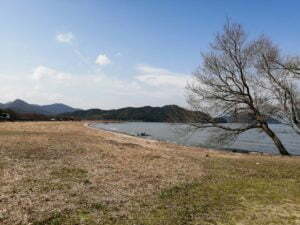 琵琶湖バス釣り_大同川