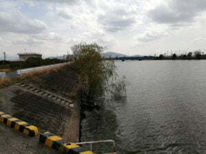 琵琶湖バス釣り_大同川