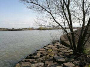 琵琶湖バス釣り_大同川