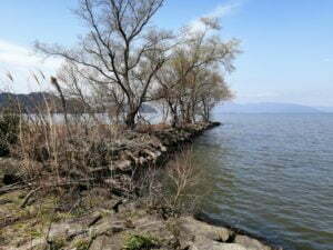 琵琶湖バス釣り_大同川