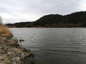 バス釣りポイント曽根沼公園_