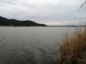 バス釣りポイント曽根沼公園_