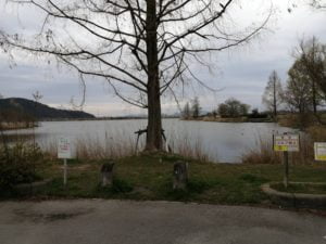 バス釣りポイント曽根沼公園_