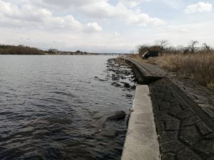 愛知川_琵琶湖バス釣りポイント