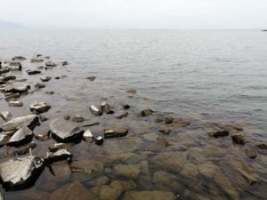 愛知川_琵琶湖バス釣りポイント