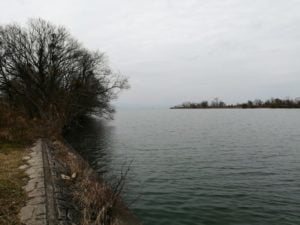 愛知川_琵琶湖バス釣りポイント