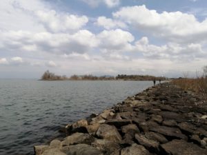 愛知川_琵琶湖バス釣りポイント