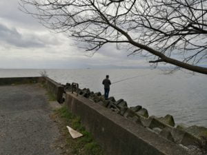 旧プリンスホテル前_琵琶湖バス釣りポイント