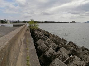 旧プリンスホテル前_琵琶湖バス釣りポイント