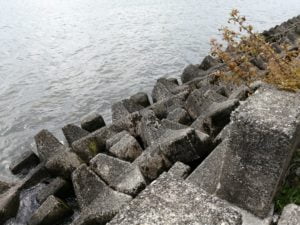 旧プリンスホテル前_琵琶湖バス釣りポイント