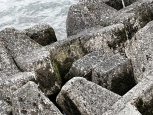 旧プリンスホテル前_琵琶湖バス釣りポイント