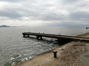 矢倉川バス釣りポイント