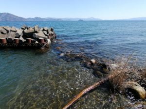 琵琶湖バス釣りポイント_浜分港