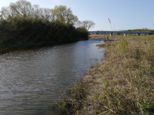 琵琶湖バス釣り_安曇川（南流）