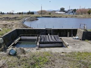 琵琶湖バス釣りポイント_石田川