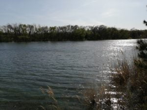 琵琶湖バス釣り_安曇川（北流）